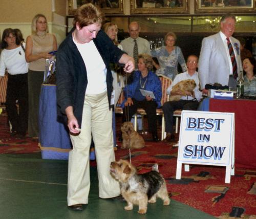 Vichea Pick and Mix with her owner Jackie Phillips wins Best in Show and Bitch CC.