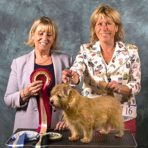 RESERVE BEST IN SHOW, BEST OPPOSITE SEX & BITCH CC WATERCROFT TOP OF THE POPS with Ruth Gee