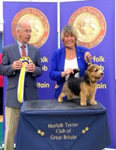  BEST PUPPY IN SHOW and BEST B&T IN SHOW Ruth Gee’s   WATERCROFT MOON DUST 