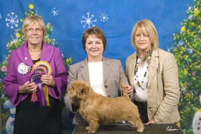 BOS PUPPY IN SHOW: GOLDEN BREEZE