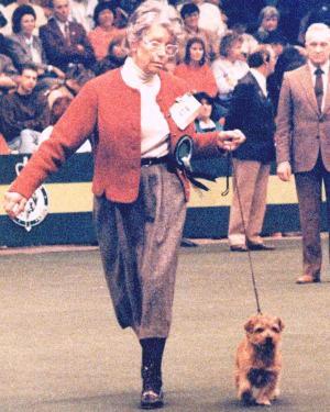 Joy with Ch Nanfan Chinese Puzzle  in the terrier group ring at Crufts 1989