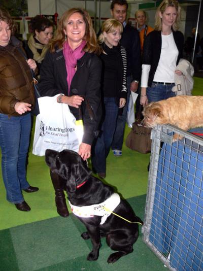 Discover Dogs 2009