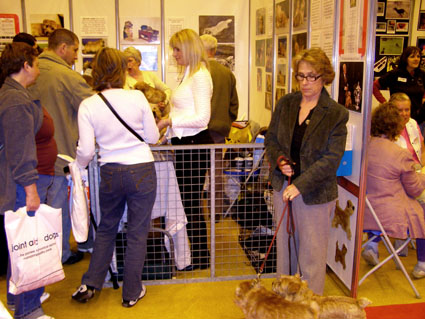 Discover Dogs 2006