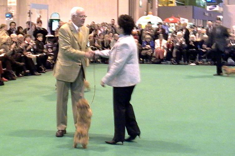 Congratulations! Peter Green handles Eng/Am Ch Cracknor Cause Celebre  to take the Bitch CC. The judge is breed expert Lesley Crawley (Ragus)