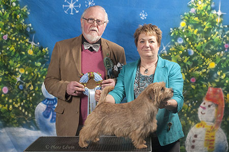 Reserve Best in Show and Reserve Best Dog: BLAKENS THE KANDY MAN KAN with Jackie Phillips 