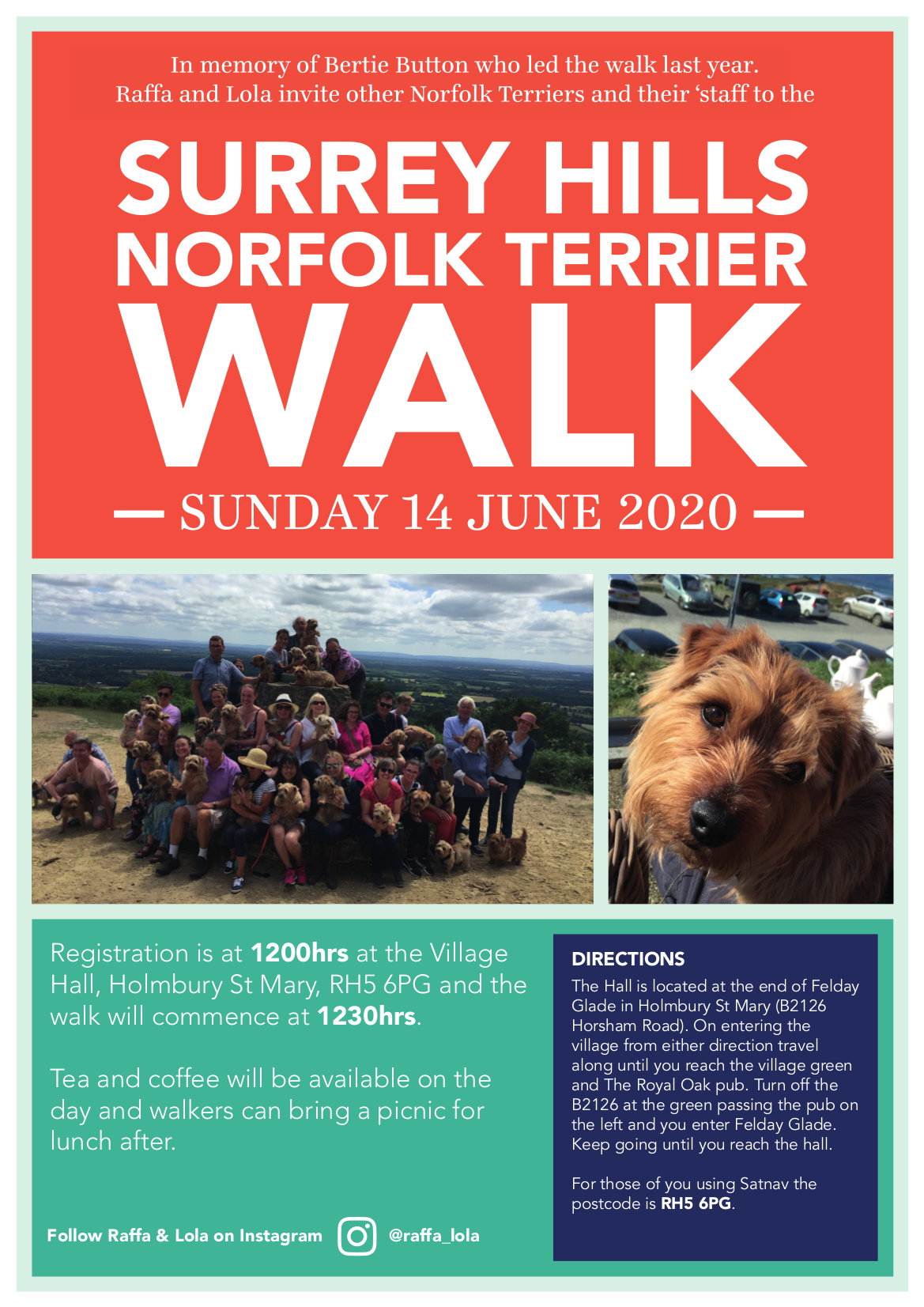 Norfolk Terrier Walk 2020