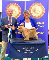 BEST IN SHOW and DOG CC Ruth Gee’s   CH WATERCROFT BOOZY MILLER