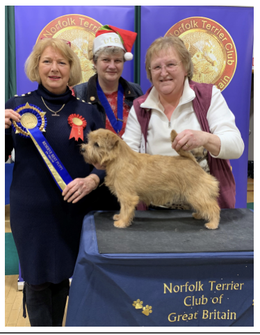 RESERVE BEST PUPPY IN SHOW Terry and Linda Cooper’s SETTRENDA SAUCY STYLE 