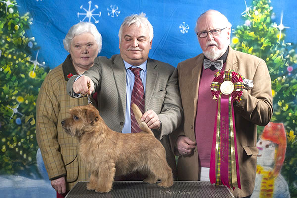 The Best in Show winner and Best Dog: JAEVA CUFFLINK with Martin Phillips & Mrs Kate Tate 