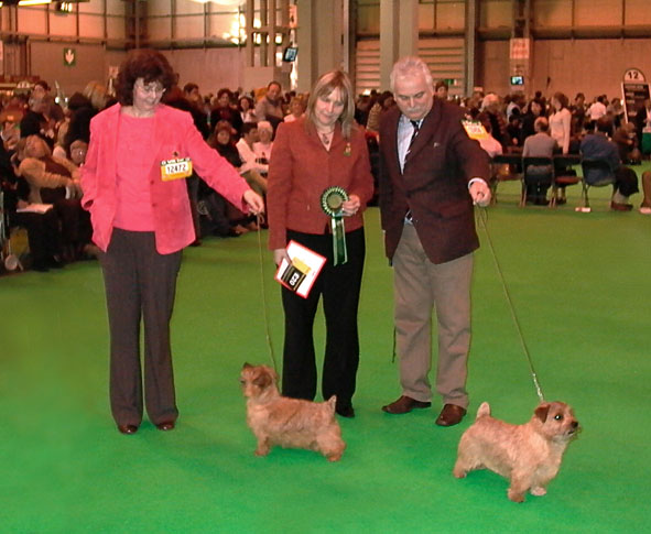 Crufts 2007 Winners