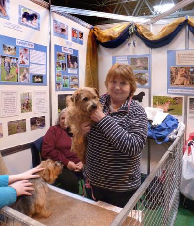 Scenes at Discover Dogs