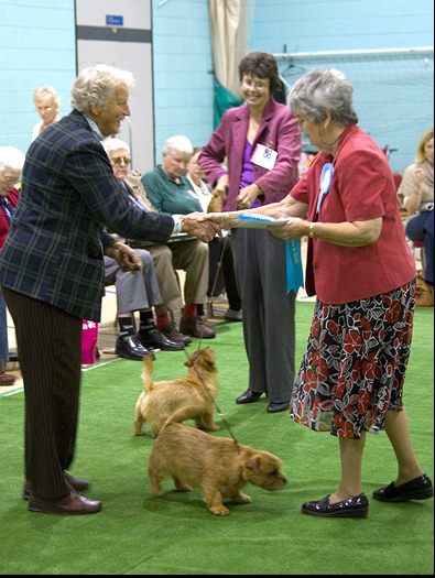 Mrs Atkinson winning Best Puppy in Show with Moortop No Choice