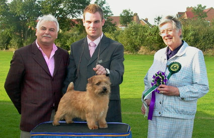 BEST IN SHOW  DOG CC: CH JAEVA GOLD AURIC  with Martin Phillips and Andrew Gullick