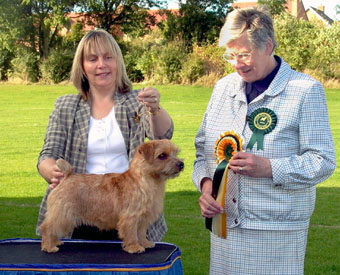 Dog RCC and Best Puppy was 11 month old  RICHELL CONTRABAND  with Rita Mitchell 