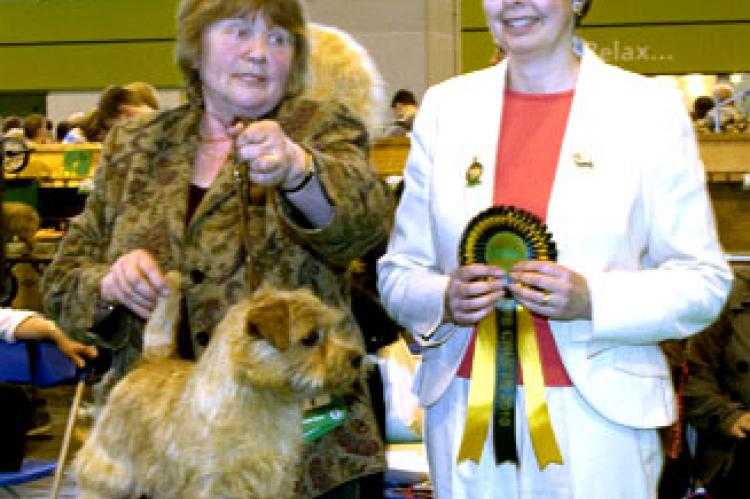 Dog CC - BP and BOB -  Penmire Wild Bramble by Brickin  with judge Mrs C Thompson-Morgan